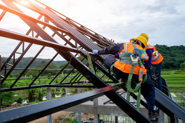 Best Roof Gutter Cleaning  in Avoca, IA
