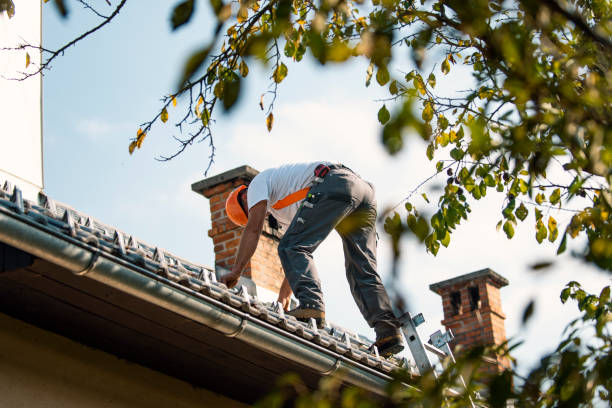 Best Commercial Roofing Services  in Avoca, IA