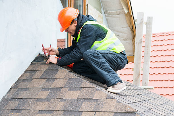 Best Roof Leak Repair  in Avoca, IA